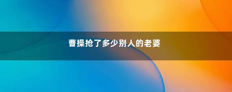 曹操抢了多少别人的老婆