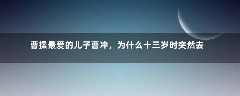 曹操最爱的儿子曹冲，为什么十三岁时突然去世？