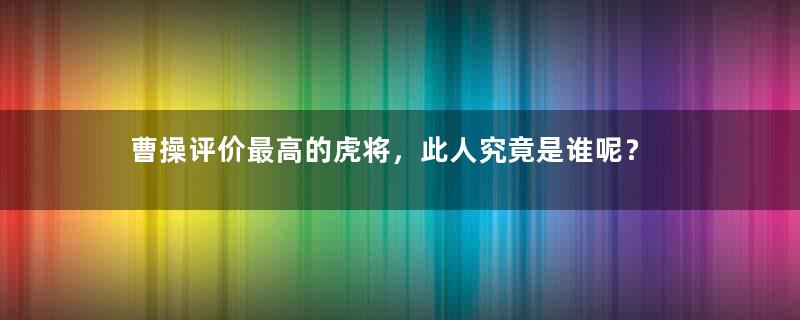 曹操评价最高的虎将，此人究竟是谁呢？