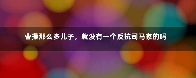 曹操那么多儿子，就没有一个反抗司马家的吗？