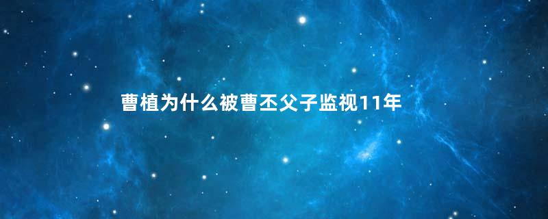 曹植为什么被曹丕父子监视11年