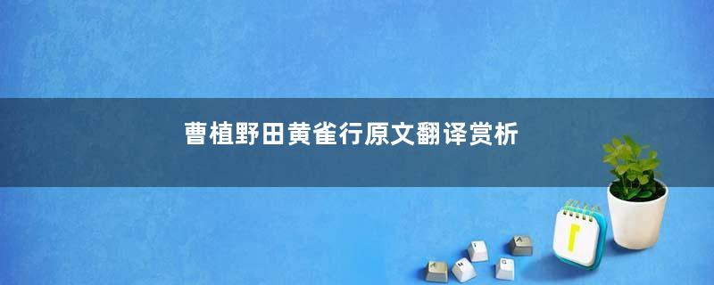 曹植野田黄雀行原文翻译赏析