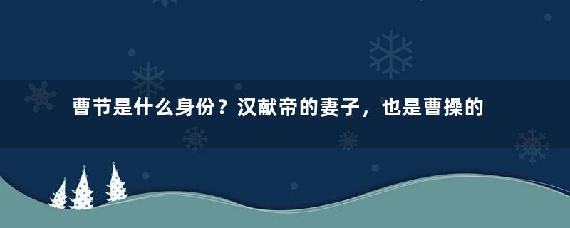 曹节是什么身份？汉献帝的妻子，也是曹操的女儿