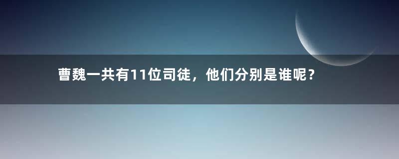 曹魏一共有11位司徒，他们分别是谁呢？