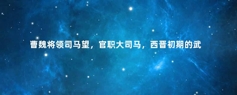 曹魏将领司马望，官职大司马，西晋初期的武将之首