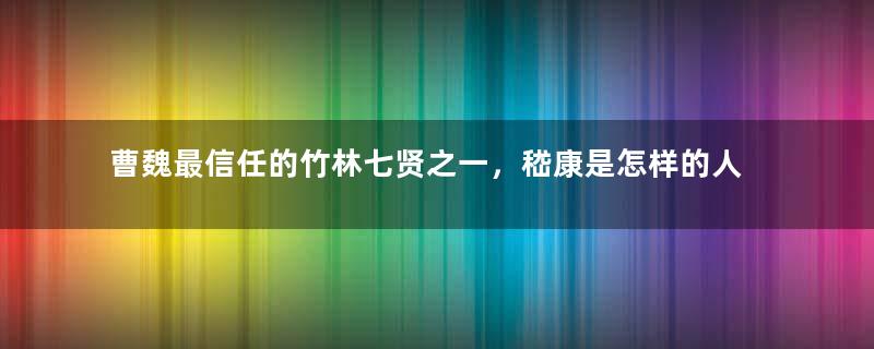 曹魏最信任的竹林七贤之一，嵇康是怎样的人？