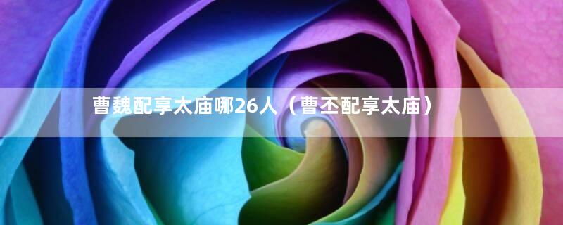 曹魏配享太庙哪26人（曹丕配享太庙）
