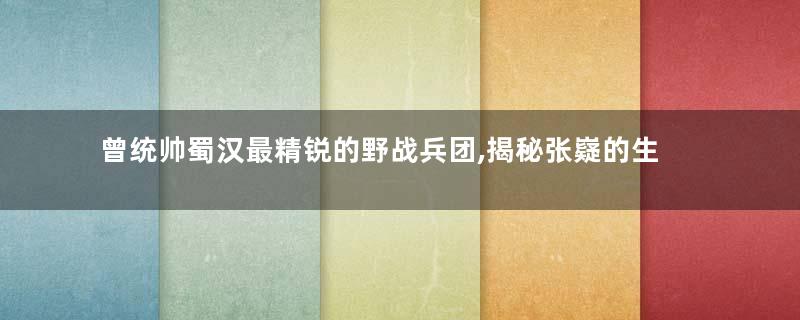 曾统帅蜀汉最精锐的野战兵团,揭秘张嶷的生平经历