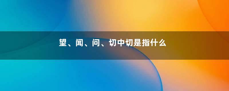望、闻、问、切中切是指什么