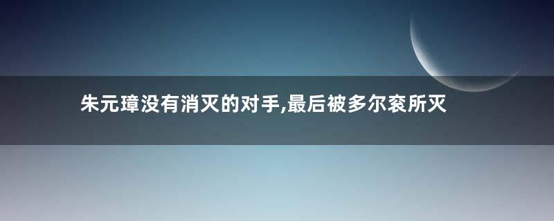 朱元璋没有消灭的对手,最后被多尔衮所灭