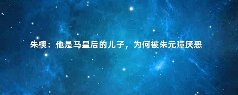 朱樉：他是马皇后的儿子，为何被朱元璋厌恶？