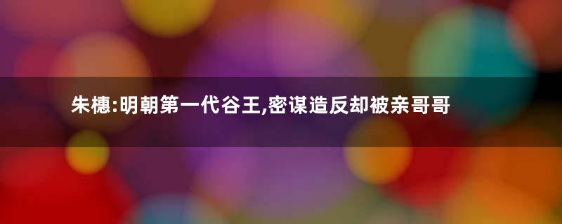 朱橞:明朝第一代谷王,密谋造反却被亲哥哥揭发
