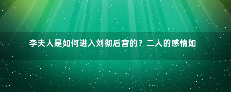 李夫人是如何进入刘彻后宫的？二人的感情如何？