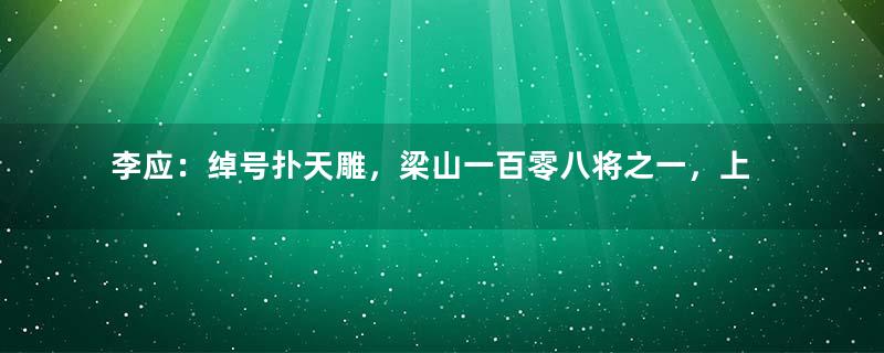 李应：绰号扑天雕，梁山一百零八将之一，上应天富星