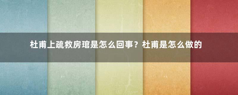 杜甫上疏救房琯是怎么回事？杜甫是怎么做的？