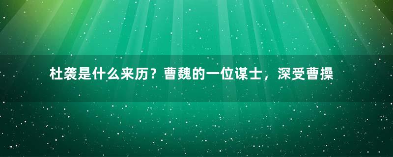 杜袭是什么来历？曹魏的一位谋士，深受曹操器重