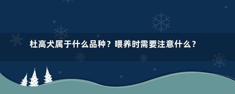 杜高犬属于什么品种？喂养时需要注意什么？