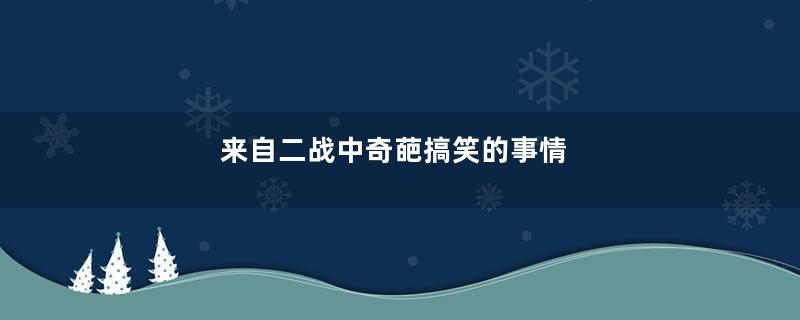 来自二战中奇葩搞笑的事情