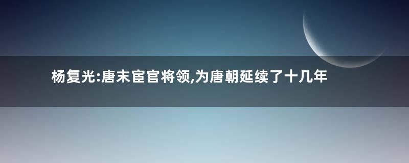 杨复光:唐末宦官将领,为唐朝延续了十几年的历史