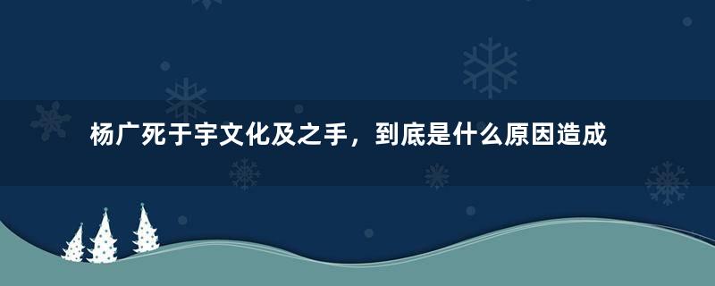 杨广死于宇文化及之手，到底是什么原因造成的？