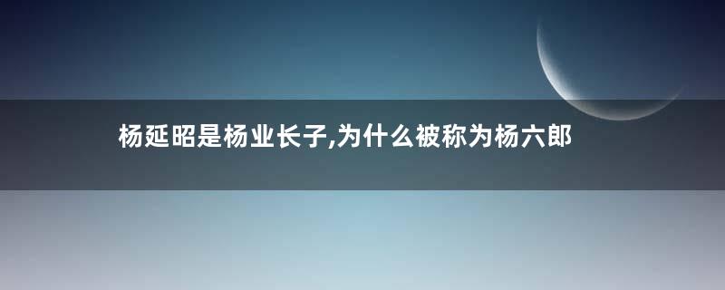 杨延昭是杨业长子,为什么被称为杨六郎