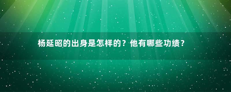 杨延昭的出身是怎样的？他有哪些功绩？