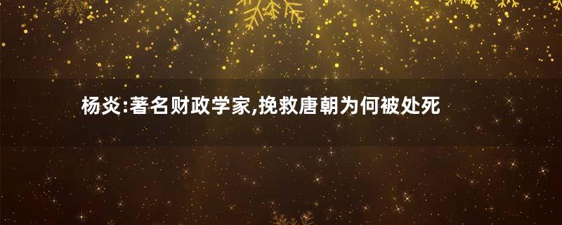 杨炎:著名财政学家,挽救唐朝为何被处死