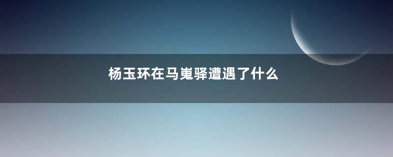 杨玉环在马嵬驿遭遇了什么