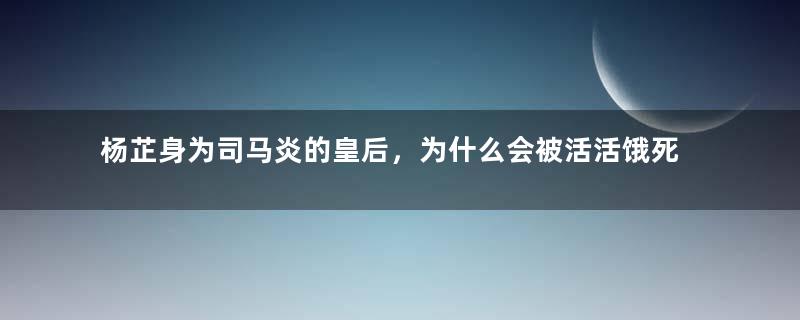 杨芷身为司马炎的皇后，为什么会被活活饿死？