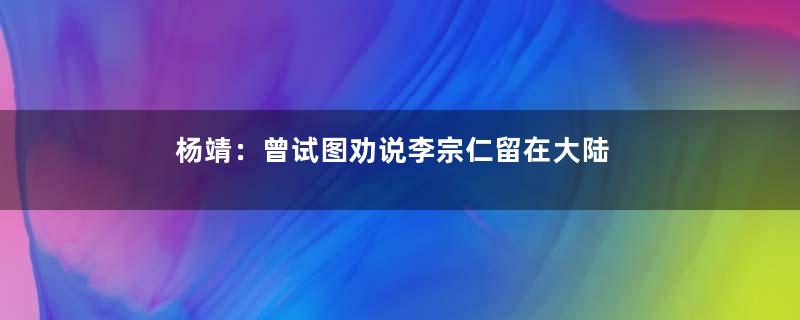 杨靖：曾试图劝说李宗仁留在大陆