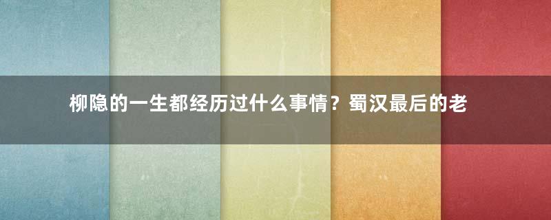 柳隐的一生都经历过什么事情？蜀汉最后的老将