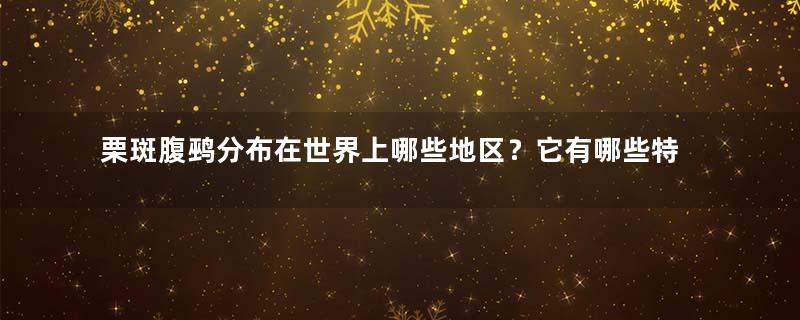 栗斑腹鹀分布在世界上哪些地区？它有哪些特征与生活习性？