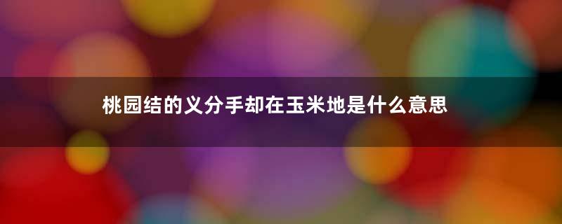 桃园结的义分手却在玉米地是什么意思