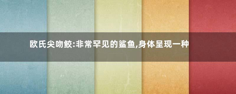 欧氏尖吻鲛:非常罕见的鲨鱼,身体呈现一种粉红色