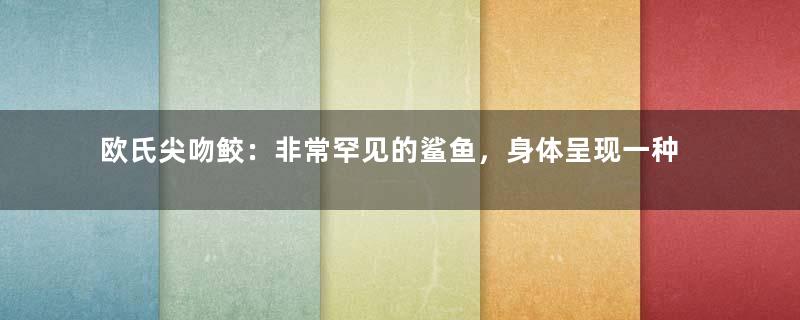 欧氏尖吻鲛：非常罕见的鲨鱼，身体呈现一种粉红色