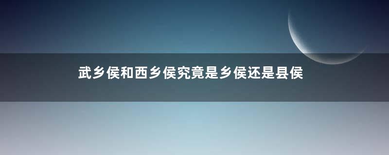 武乡侯和西乡侯究竟是乡侯还是县侯