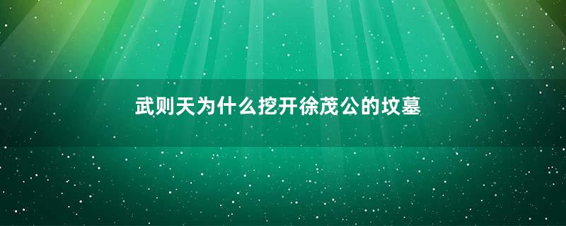 武则天为什么挖开徐茂公的坟墓