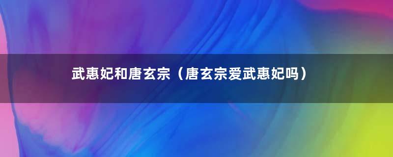 武惠妃和唐玄宗（唐玄宗爱武惠妃吗）