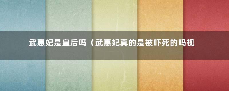 武惠妃是皇后吗（武惠妃真的是被吓死的吗视频）