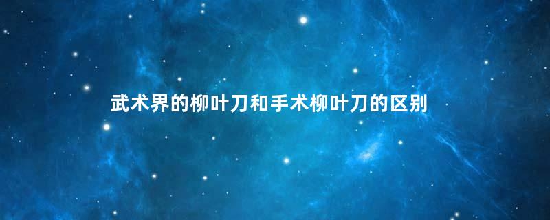 武术界的柳叶刀和手术柳叶刀的区别