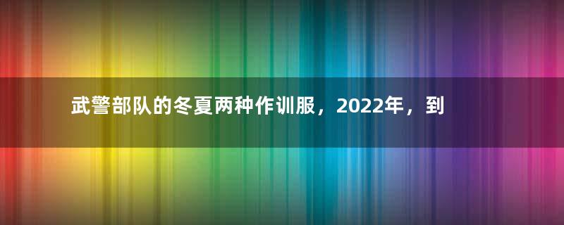 武警部队的冬夏两种作训服，2022年，到底有多大的区别？