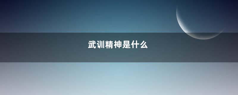 武训精神是什么