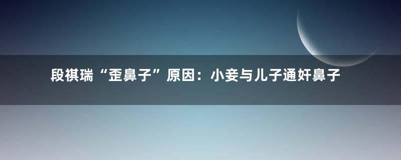 段祺瑞“歪鼻子”原因：小妾与儿子通奸鼻子气歪