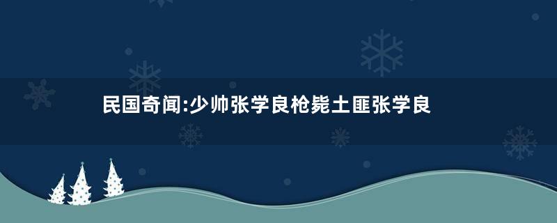 民国奇闻:少帅张学良枪毙土匪张学良