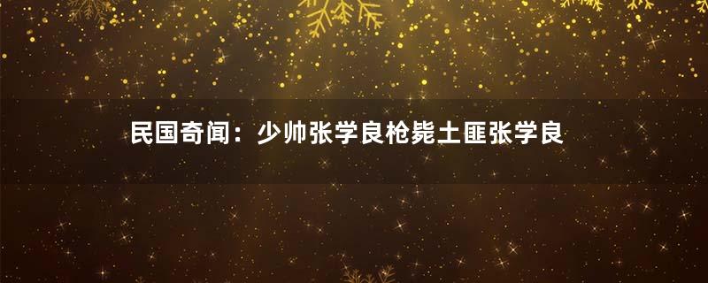 民国奇闻：少帅张学良枪毙土匪张学良