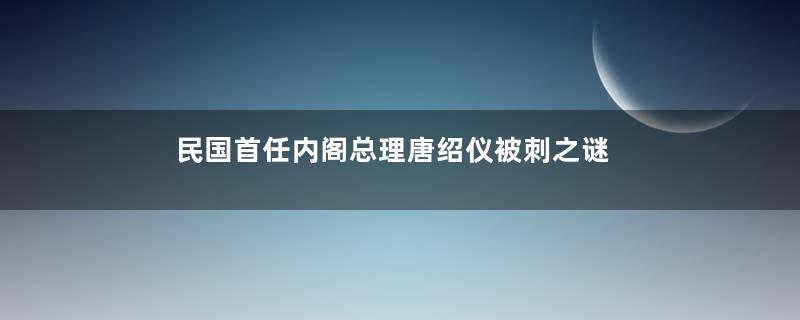 民国首任内阁总理唐绍仪被刺之谜