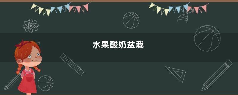 水果酸奶盆栽