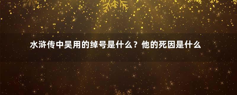 水浒传中吴用的绰号是什么？他的死因是什么？