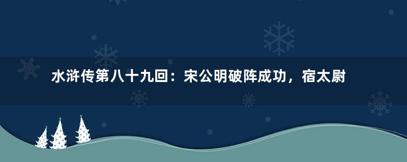 水浒传第八十九回：宋公明破阵成功，宿太尉颁恩降诏