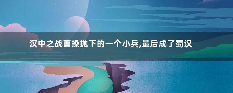 汉中之战曹操抛下的一个小兵,最后成了蜀汉名将